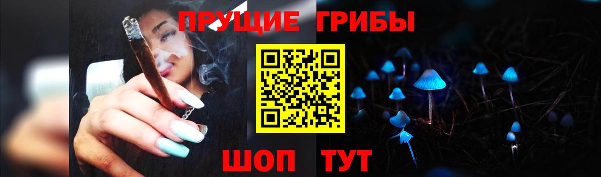 Псилоцибиновые грибы Cubensis Вичуга